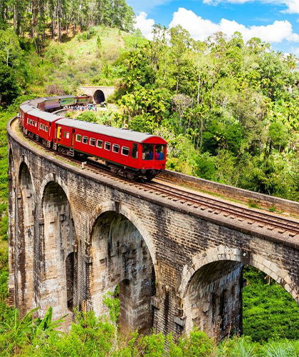 Scenic Train Rides in Sri Lanka