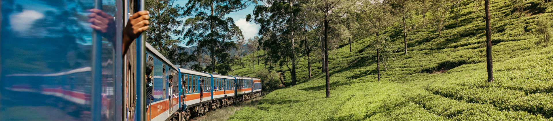 Scenic Train Rides in Sri Lanka