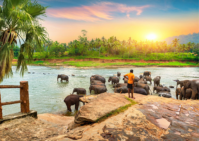 Discovering Sri Lanka’s Hidden Gems