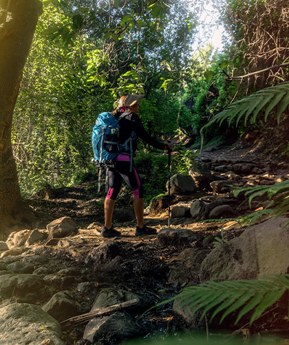 Hiking and Nature Walks in Sri Lanka