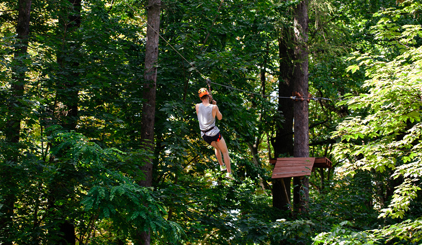 Rainforest Trails in Sri Lanka