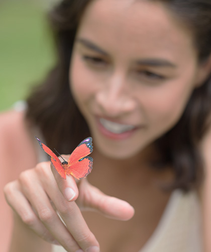 Butterfly Watching in Sri Lanka