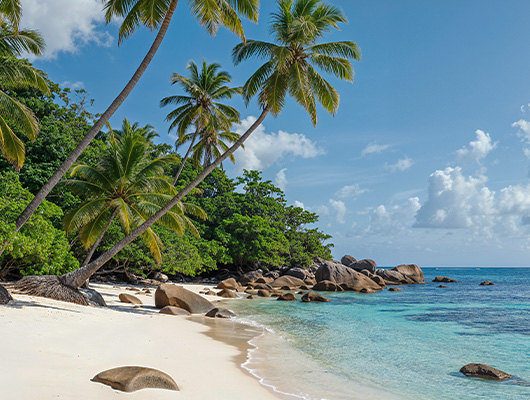 Mirissa Beach
