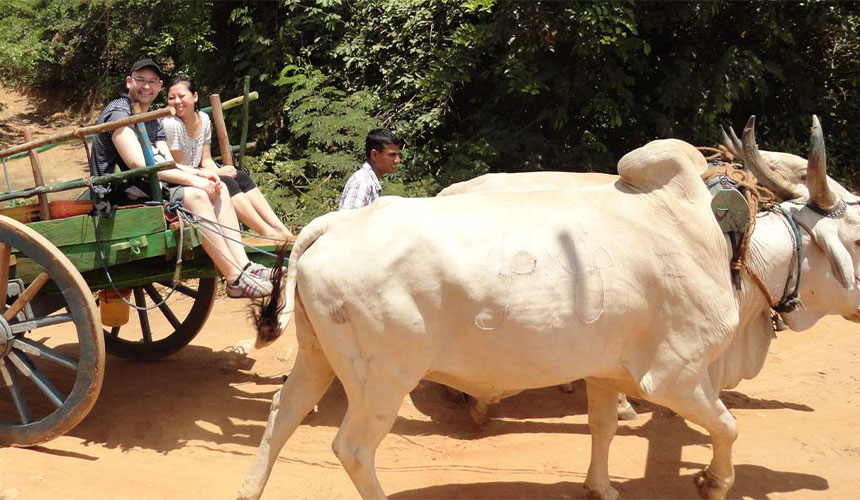 Classic Sri Lanka Tour – Classic Island Escape Image