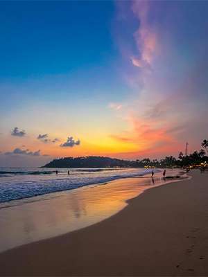 Beach Tours