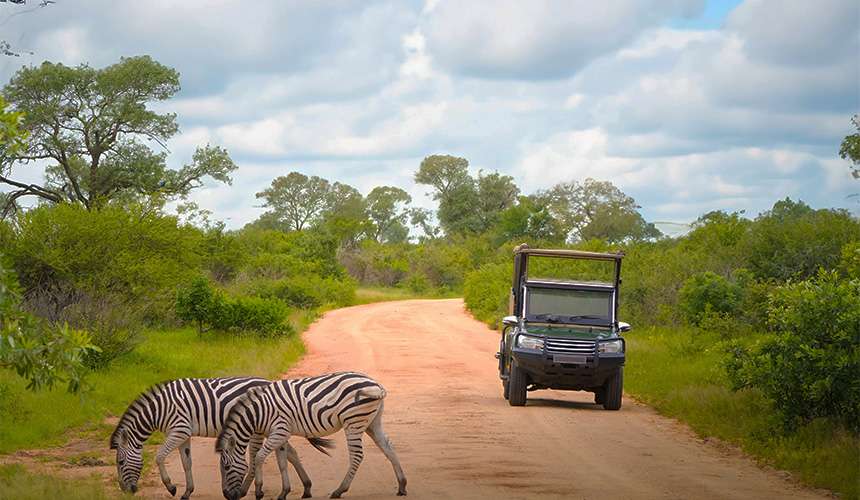 Wildlife Safaris in Sri Lanka